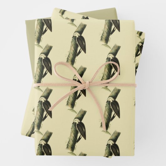 Black & White Woodpecker Inpakpapier Vel (In situ)