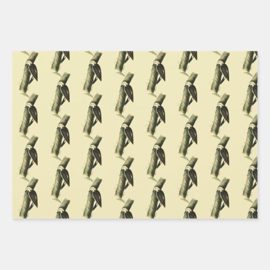 Black & White Woodpecker Inpakpapier Vel (Voorkant)