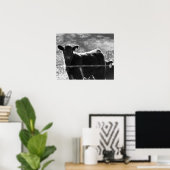Black & White Young-Koeien in veld 16x20 Poster (Thuiskantoor)