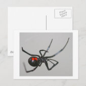 Black Widow Briefkaart (Voorkant / Achterkant)