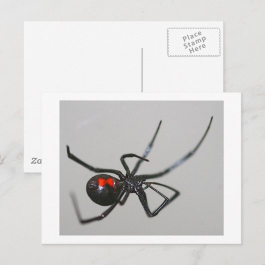 Black Widow Briefkaart (Voorkant / Achterkant)
