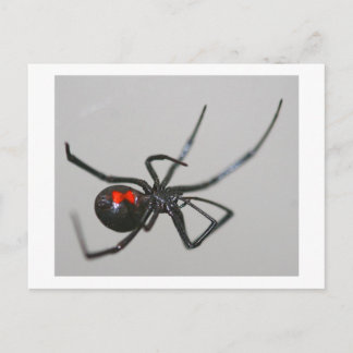 Black Widow Briefkaart