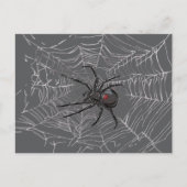 Black Widow Spider And Spiderweb Drawing Art Briefkaart (Voorkant)