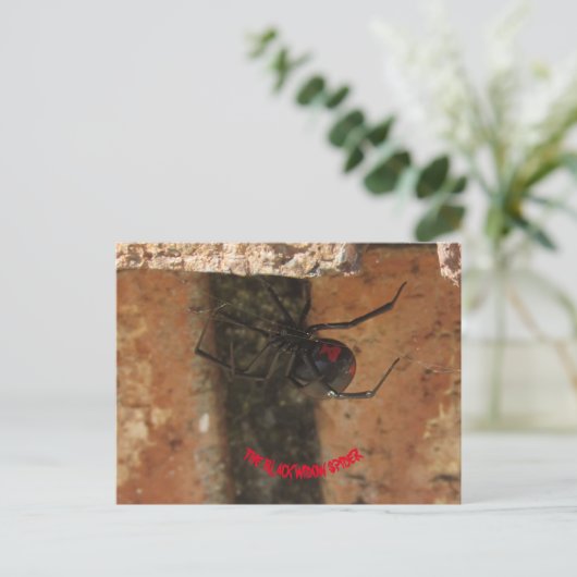 Black Widow Spider Briefkaart (Staand voorkant)