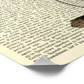 Black Widow Spider, Gothic, Natuur, Arachanofobie Poster (Hoek)