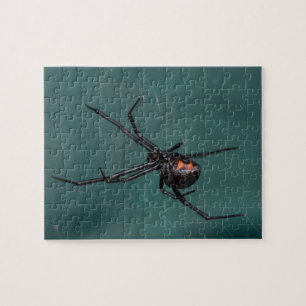 Black Widow Spider Legpuzzel