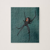 Black Widow Spider Legpuzzel (Verticaal)