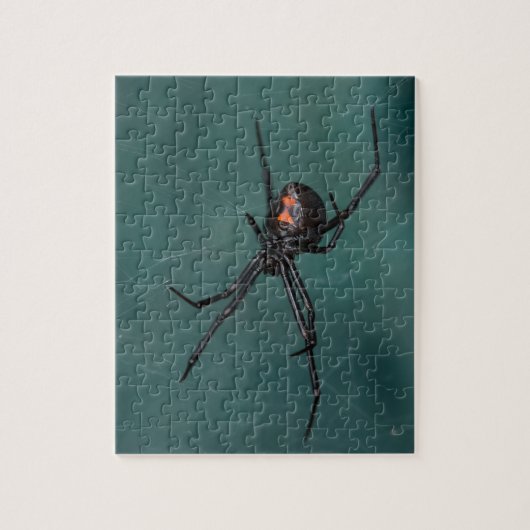 Black Widow Spider Legpuzzel (Verticaal)