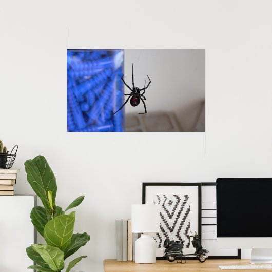Black Widow Spider Poster (Thuiskantoor)