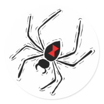 Black Widow Spider