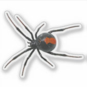 Black Widow Spider Sticker (Voorkant)