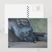 Black Wolf Art Briefkaart (Voorkant / Achterkant)