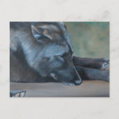 Black Wolf Art Briefkaart (Voorkant)