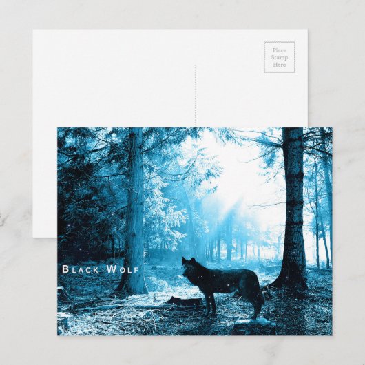 Black Wolf Bossen Forest Night Fantasy Briefkaart (Voorkant / Achterkant)