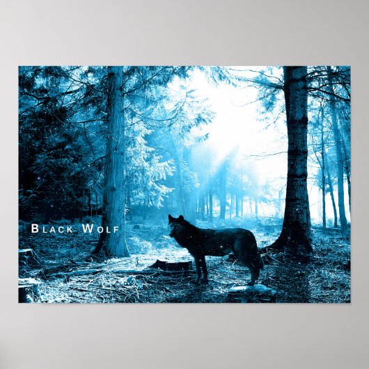 Black Wolf Bossen Forest Night Fantasy Poster (Voorkant)