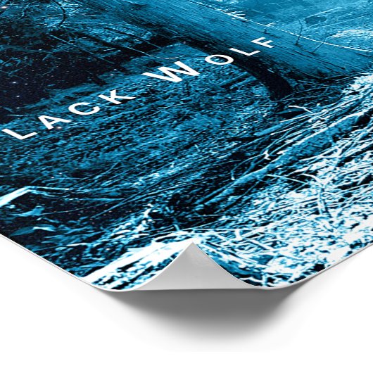 Black Wolf Bossen Forest Night Fantasy Poster (Hoek)