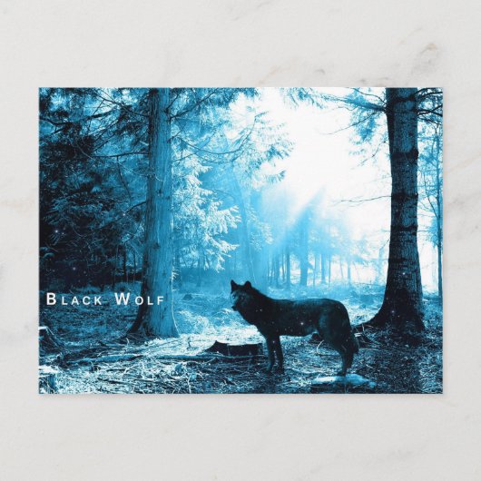 Black Wolf Briefkaart (Voorkant)
