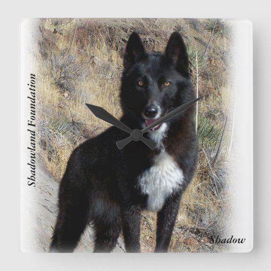 Black Wolf Clock Vierkante Klok (Voorkant)