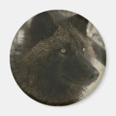 Black Wolf Dog Magneet (Voorkant)