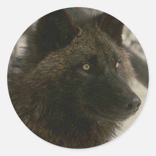 Black Wolf Dog Ronde Sticker (Voorkant)