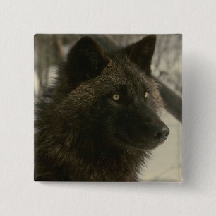 Black Wolf Dog Vierkante Button 5,1 Cm