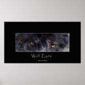 Black Wolf Eyes Wildlife Poster (Voorkant)