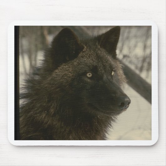 Black Wolf Muismat (Voorkant)