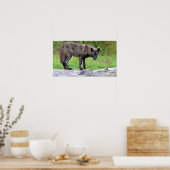 Black Wolf Poster (Keuken)