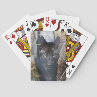 Black Wolf-speelkaarten Pokerkaarten
