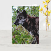 Black Wolf-Wenskaart Kaart (Gele Bloem)