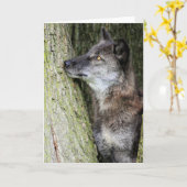 Black Wolf-Wenskaart Kaart (Gele Bloem)