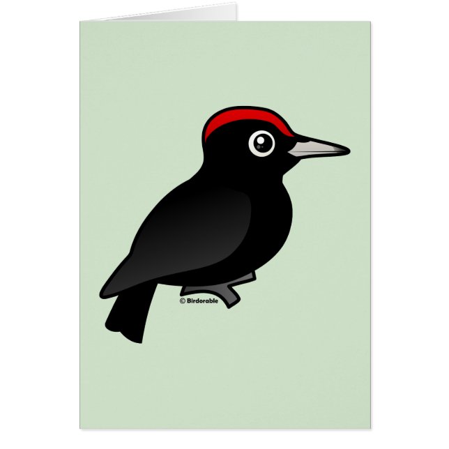 Black Woodpecker (Voorkant)