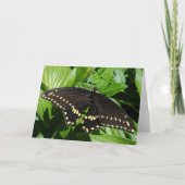 Black Yellow Spotted Butterfly Close-up foto Kaart (Voorkant)