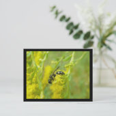 Black Yellow Wasp Foraging Briefkaart (Staand voorkant)