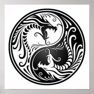  Black Yin Yang Dragons Poster