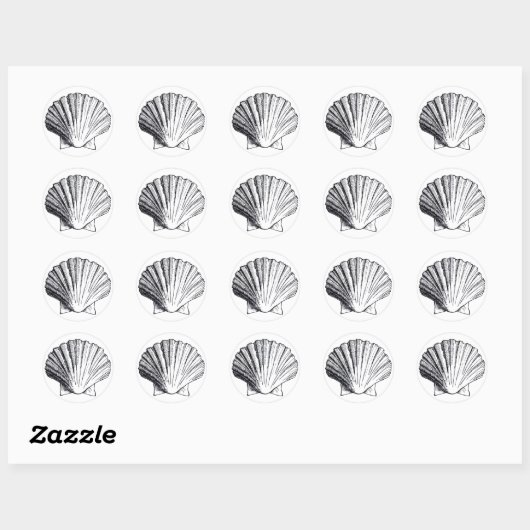 Black Zee Shell Sticker (Vel)