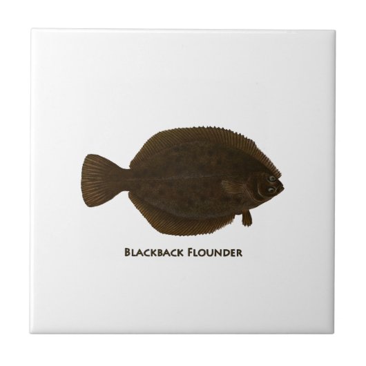 Blackback Flounder Tegeltje (Voorkant)