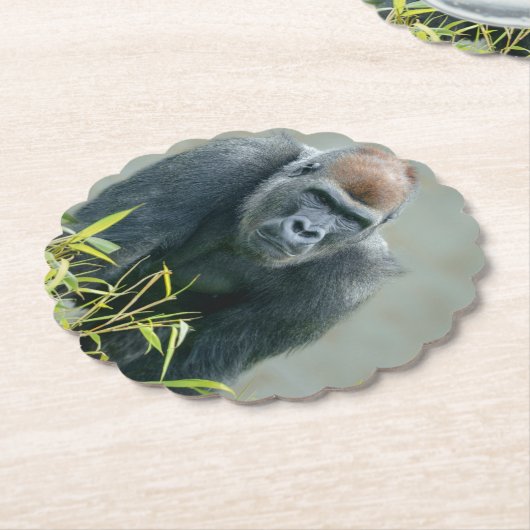 Blackback Gorilla Lope Kartonnen Onderzetters (Gekanteld)
