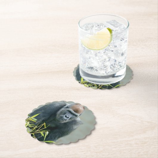 Blackback Gorilla Lope Kartonnen Onderzetters (Insitu)