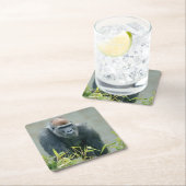 Blackback Gorilla Lope Kartonnen Onderzetters (Insitu)