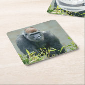 Blackback Gorilla Lope Kartonnen Onderzetters (Schuin)