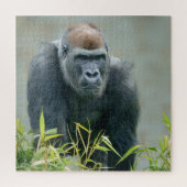 Blackback Gorilla Lope Legpuzzel (Verticaal)