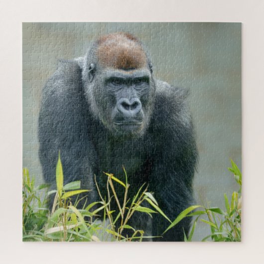 Blackback Gorilla Lope Legpuzzel (Verticaal)