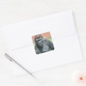 Blackback Gorilla Lope Portret Vierkante Sticker (Envelop)