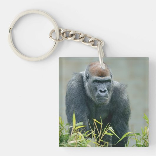Blackback Gorilla Lope Sleutelhanger (voorkant)