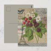 Blackberries Bloementuin Bloemvlinder Kunst Briefkaart (Voorkant / Achterkant)