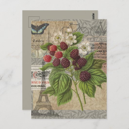 Blackberries Bloementuin Bloemvlinder Kunst Briefkaart (Voorkant / Achterkant)