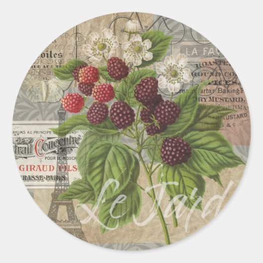 Blackberries Bloementuin Bloemvlinder Kunst Ronde Sticker (Voorkant)