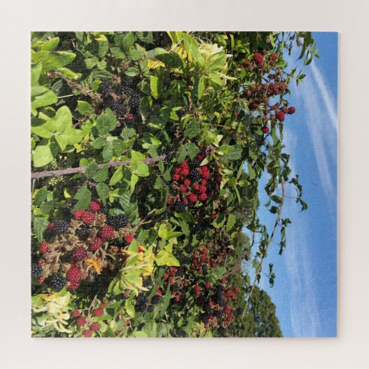 Blackberries en Honeysuckle in het Engels Land Legpuzzel (Horizontaal)