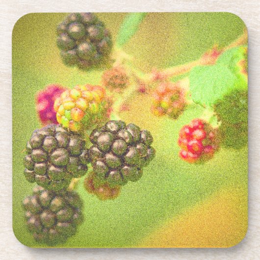 "Blackberries Fruit Plant" Kute foto. Bestel nu Bier Onderzetter (Voorkant)